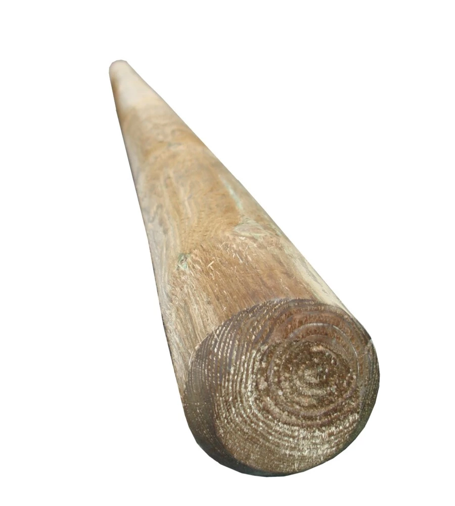 Palo da esterno in legno di pino senza punta 8x300 cm
